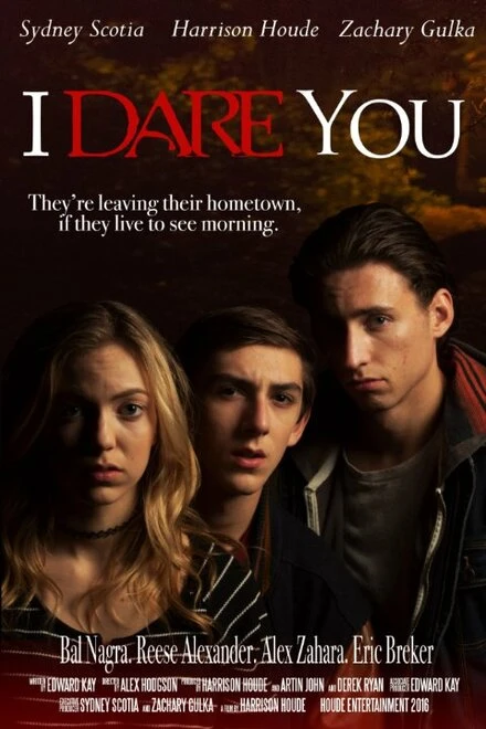 Постер I Dare You 2016