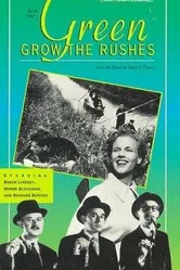 Зеленый дикий камыш 1951 постер