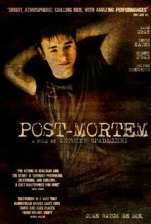 Постер После смерти 2010