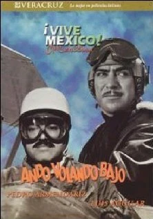 Постер Ando volando bajo