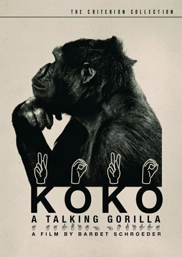 Постер Коко, говорящая горилла 1978