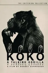 Коко, говорящая горилла 1978 постер