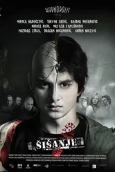Стрижка 2010 постер