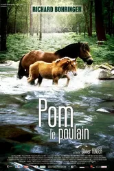 Pom, le poulain постер