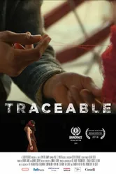 Traceable постер