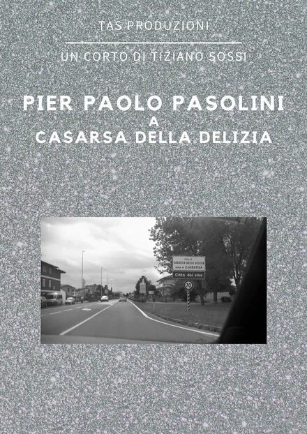 Постер Pier Paolo Pasolini a Casarsa della Delizia