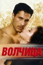 Волчица 1996, Италия постер
