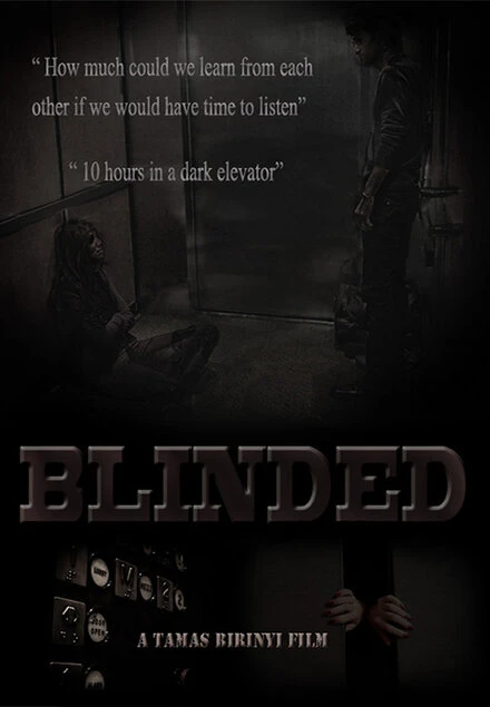 Постер Blinded 2014