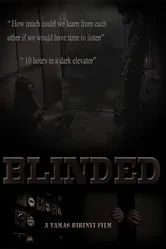 Blinded 2014 постер
