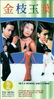 Постер Он женщина, она мужчина 1994