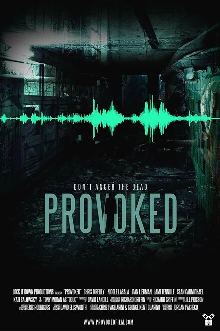 Постер Provoked 2016