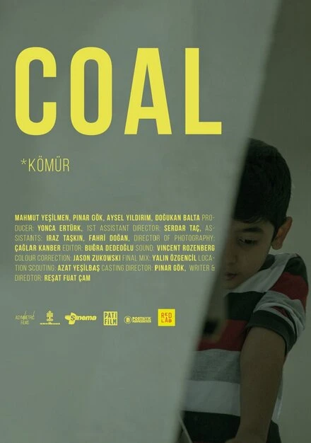 Постер Coal 2020