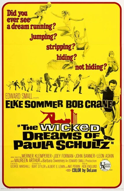 Постер The Wicked Dreams of Paula Schultz