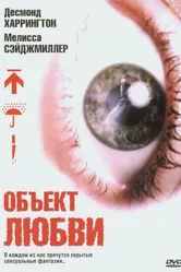 Объект любви 2003 постер