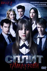 Сплит: Тайна крови 2009 постер