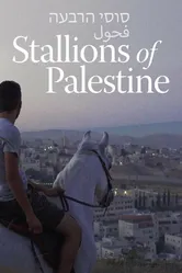 Stallions of Palestine постер
