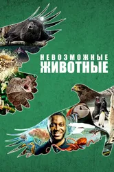 Невозможные животные 2021 постер