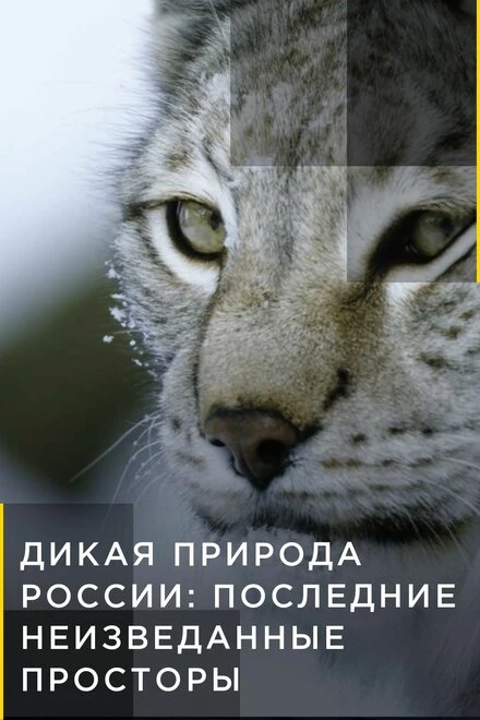 Постер Дикая природа России: Последние неизведанные просторы 2018