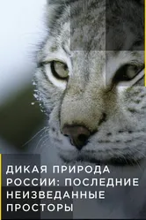 Дикая природа России: Последние неизведанные просторы 2018 постер