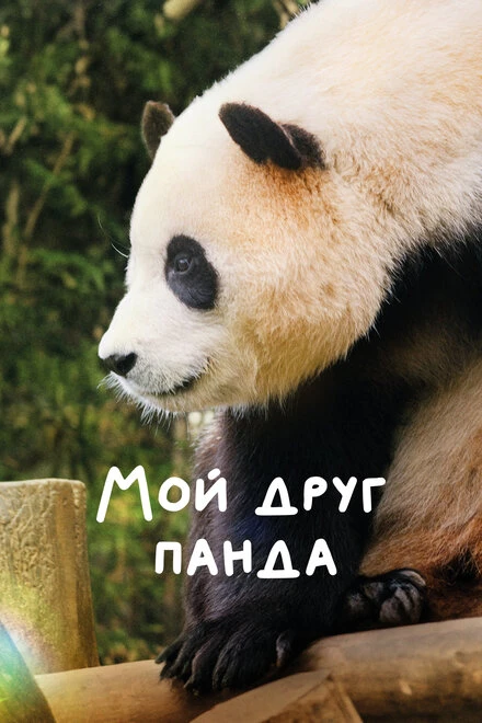 Постер Мой друг панда 2024