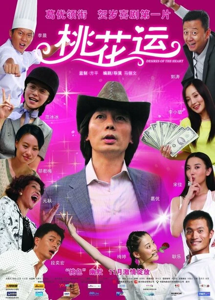 Постер Желания сердца 2008