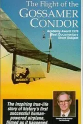 Полет легкого кондора 1978 постер
