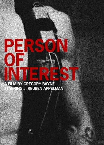 Постер Person of Interest 2010