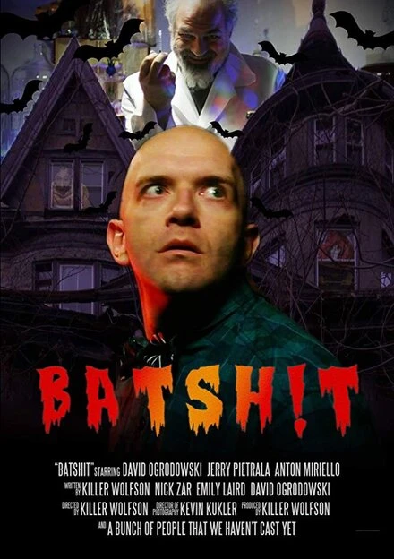 Постер Batshit