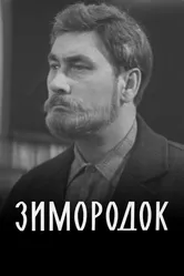 Зимородок 1972 постер