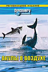 Discovery: Акулы в воздухе 2002 постер