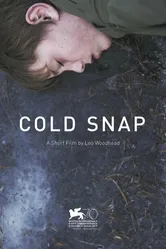 Cold Snap 2013 постер