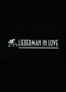 Влюбленный Лейберман 1995 постер