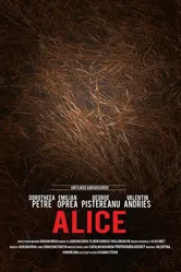 Alice 2017, Румыния постер