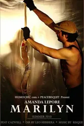 Мэрилин 2010 постер