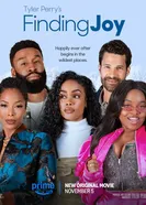 В поисках радости постер