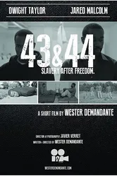 43 & 44 постер