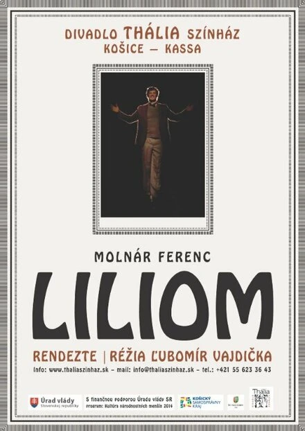 Постер Liliom 2014