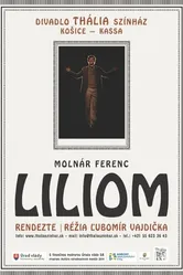 Liliom 2014 постер