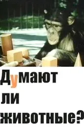 Думают ли животные? 1970 постер