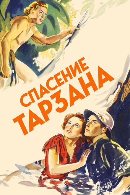 Постер Спасение Тарзана 1936
