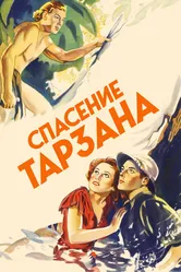 Спасение Тарзана 1936 постер