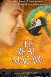 Мак-миллионер 1998 постер