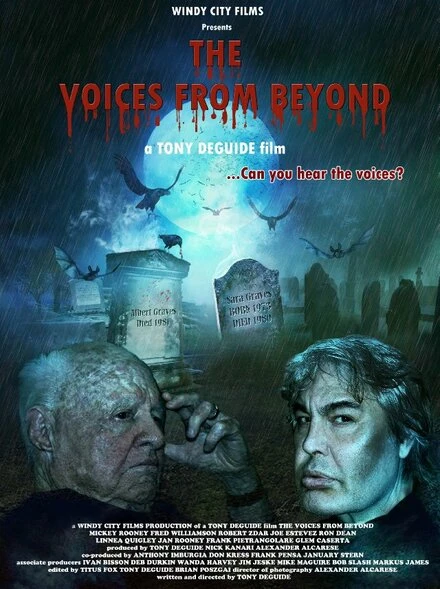 Постер The Voices from Beyond