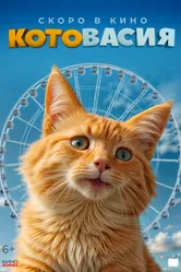 Котовасия, Россия постер