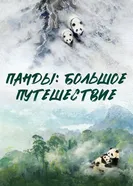 Панды: Большое путешествие постер