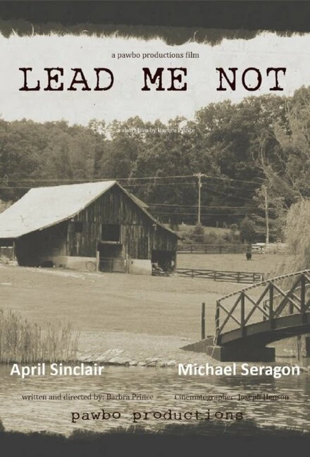 Постер Lead Me Not