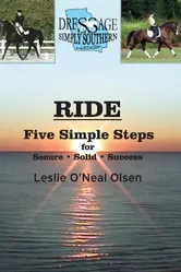 The Ride 1996 постер