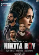 Nikita Roy and the Book of Darkness постер