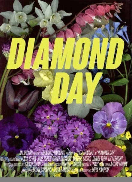 Постер Diamond Day