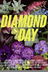 Diamond Day постер